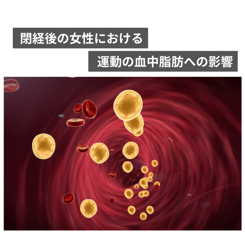 女性専門パーソナルジムHealthy | 戸田市 戸田公園の女性専用パーソナルトレーニングジム「Healthy」。40・50代の女性向けに、トレーニング×タイ古式マッサージ×栄養指導で、疲れにくく太りにくい体づくりをサポートします。