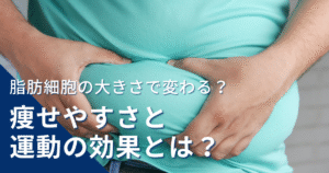 戸田市のパーソナルジムHealthyのブログ：脂肪細胞と痩せやすさ