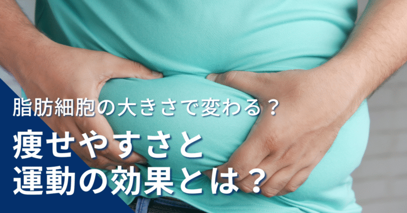 戸田市のパーソナルジムHealthyのブログ:脂肪細胞と痩せやすさ