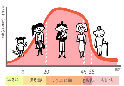 戸田市のパーソナルジムHealthyのブログ:ミネラルスープ:女性ホルモンに関する画像