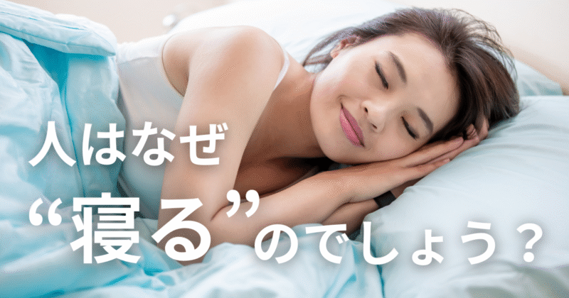 戸田市の女性専門パーソナルジムHealthyのブログ:睡眠サムネ
